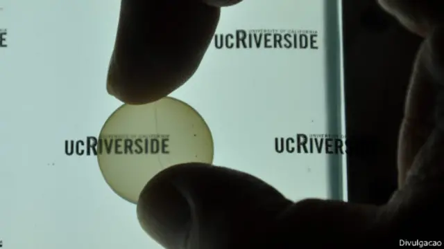 Implante transparente feito pela Universidade da Califórnia-Riverside (Foto: Divulgação)