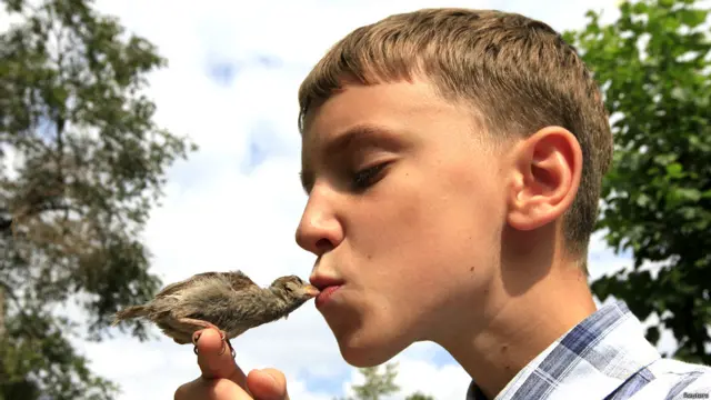 जंगली गौरैया के साथ बच्चा