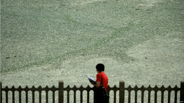 Genangan ikan mati di Cina