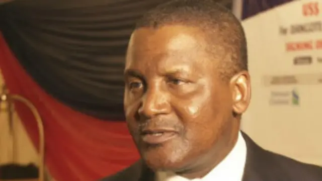 بنى دانغوت ثروته من تجارة الإسمنت والسكر والطحين وتقدر ثروته بـ 16 مليار دولار امريكي