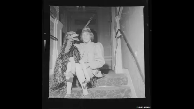 راڈ ہل اور ایمو