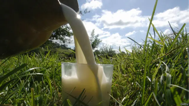 Sirviendo vaso de leche en el campo