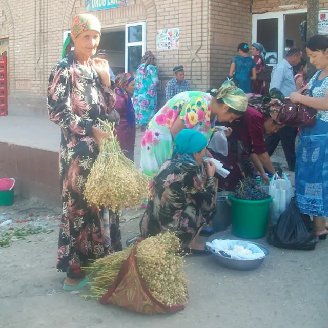 Бозорга кираверишда исириқ ёки маҳаллий халқ айтмоқчи "ҳазорисфон" сотаётган аёл. Исириқ ҳамон  минтақада инс-жинсдан асровчи тутатқи ҳисобланади. Замонавий тиббиётда қўллаш учун Шаҳрисабз яқинида исириқ (гармала) ишлаб чиқилади.