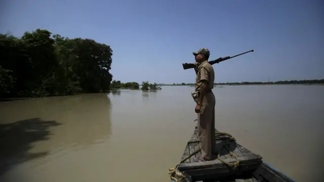 असम बाढ़, फॉरेस्ट गार्ड