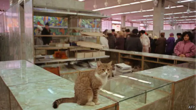 порожні полиці та черга