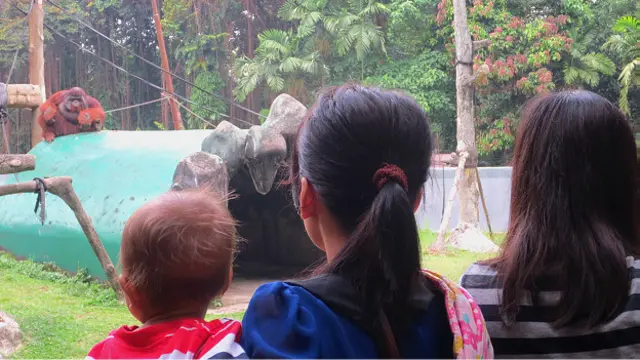 Kedua, bebas dari rasa tidak nyaman. 