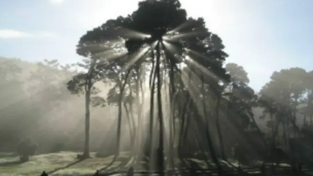 د وړانګو له چینې سره په ډېر کم وخت تېرولو، واټن ساتلو او پوښښ سره کېدای شي چې د وړانګو زیانونه تر ډېره حده کم کړای شي