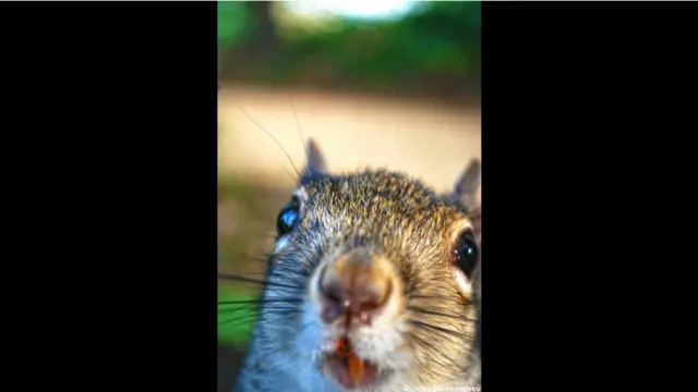 Фото: Роман Иностранцев