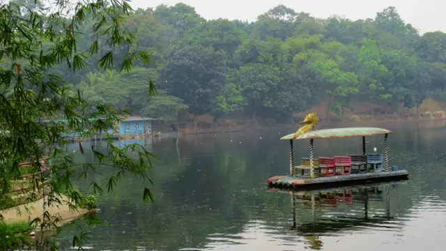 Lima kebebasan ini saling berkait dan akan berpengaruh pada semua faktor apabila salah satu tidak terpenuhi atau terganggu.