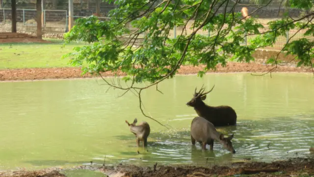 Keempat, bebas mengekspresikan perilaku normal.