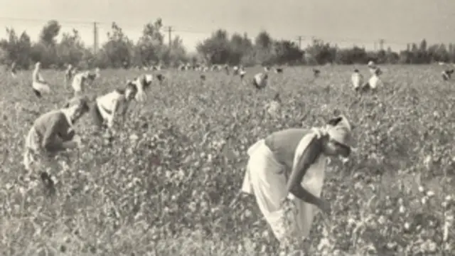 külot va taytlarda sikish