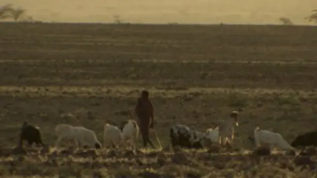 ثلث سكان كينيا يعانون من نقص المياه النظيفة.