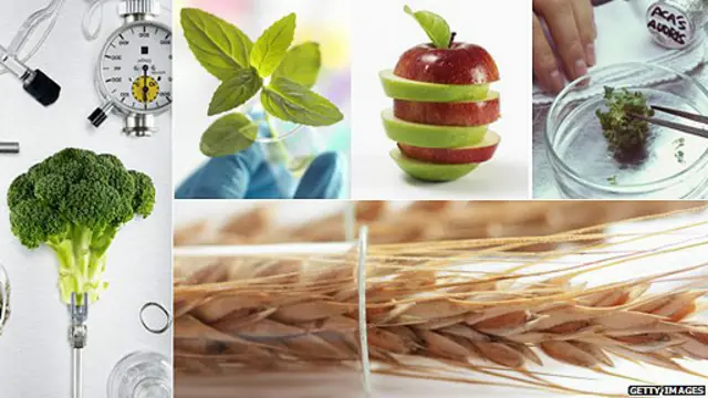 hombre arregla exhibidor de productos orgánicos