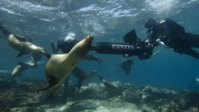 谷歌“街景”摄影小组在加拉帕戈斯群岛拍摄（05/2013）