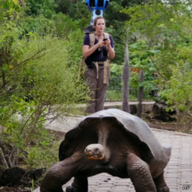 谷歌“街景”摄影小组在加拉帕戈斯群岛拍摄（05/2013）