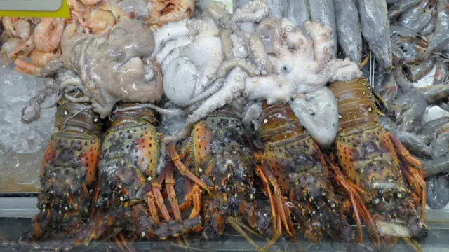 Na composição enviada por Pércio Augusto Mardini de Farias, os peixes, polvos e crustáceos foram fotografados na bandeja de um mercado no Rio de Janeiro.