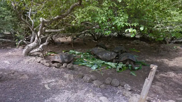 Galápagos por Google Street View