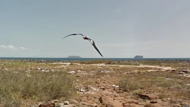 Galápagos por Google Street View