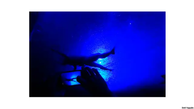 Фото Эмиля Ягудина