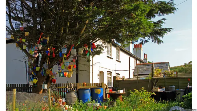 Фото Галины Берниковой