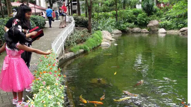 不少在香港人有一个集体回忆便是郊野公园