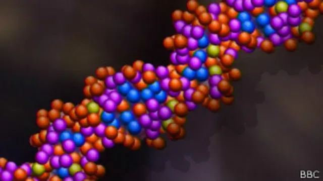 DNA | Crédito: BBC