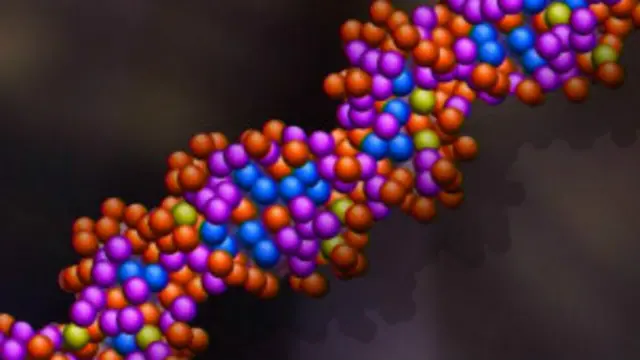 ریپ کے مقدمات میں ڈی این اے ٹیسٹ ملزمات تک پہنچنے کا اہم طریقہ ہو سکتا ہے