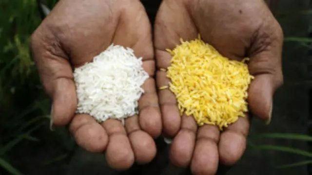 اروپا ډېر کم په جین کې د بدلون له لارې بوټي تولیدوي