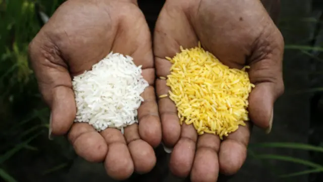 中国近年由于受到“转基因安全”争议的影响而放慢了发展速度