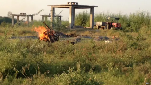 रोहतक ऑनर किलिंग 