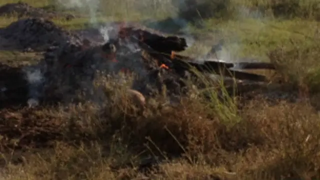 हरियाणा