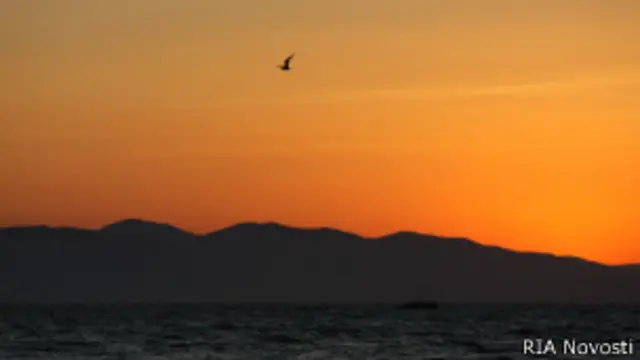 Японское море