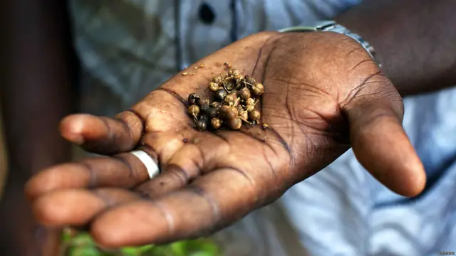 हिना आर्टिस्ट, नियामे, नाइजर, टैटू