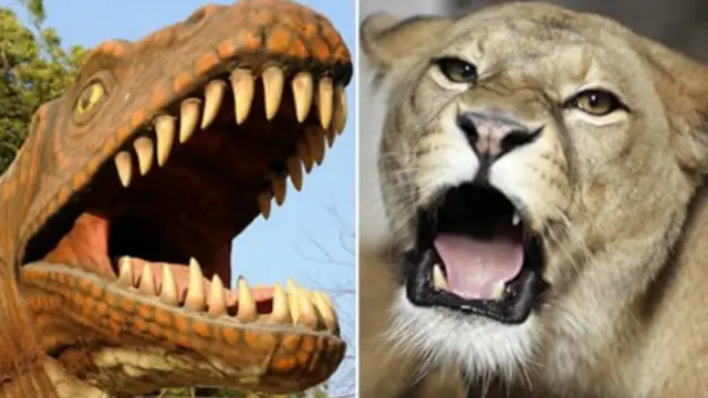 शेर, डायनासोर