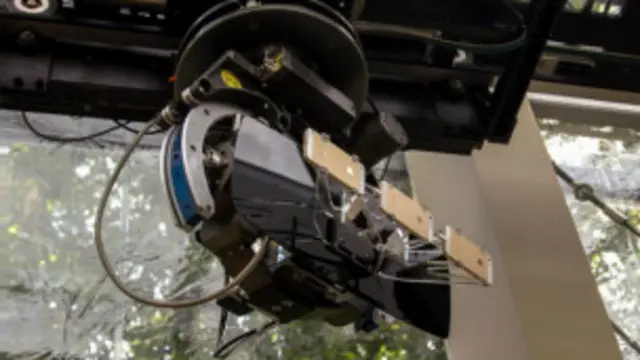 博百利用新鲜摄像头拍走秀