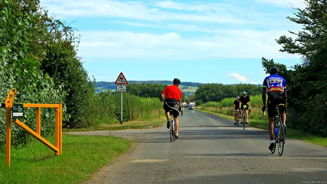 Фото: Галина Берникова