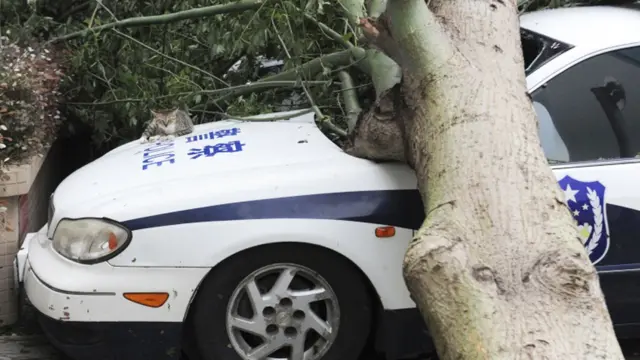 دوسری جانب ہانگ کانگ میں اتنا نقصان نہیں ہوا جتنی توقع کی جا رہی تھی۔