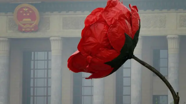 बीजिंग, टोकरी