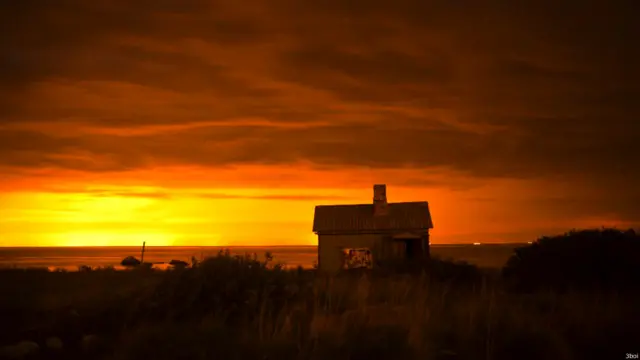 Фото: Михаил Трибой