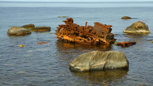 Фото: Михаил Трибой