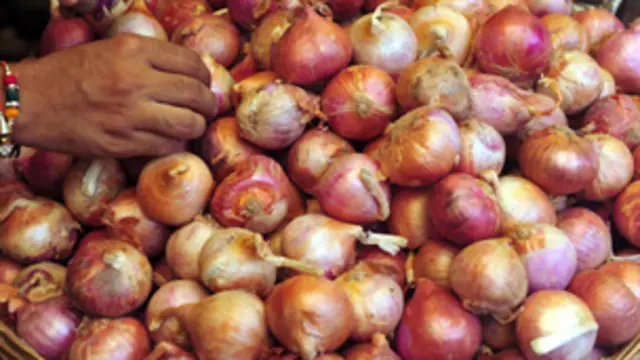 البصل مادة غذائية اساسية في الهند