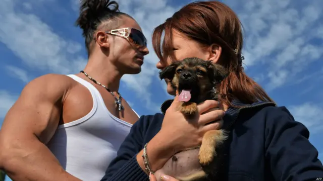 रोमानिया में आवारा कुत्तों के खिलाफ कानून बना