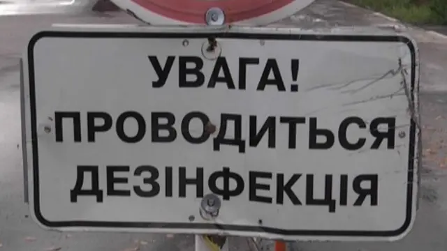 свиная чума, дезинфекция