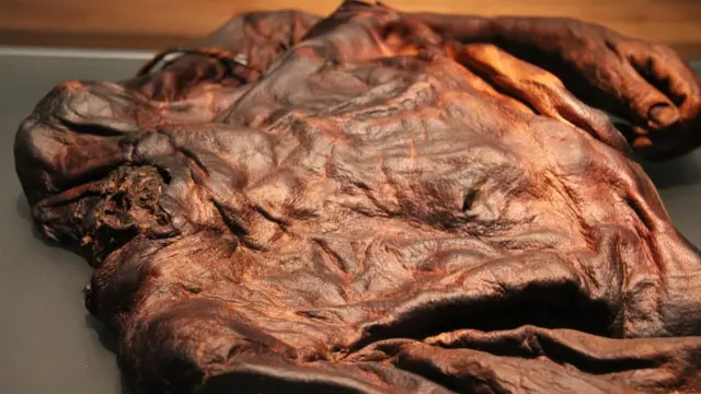 ओल्ड क्रोगैन मैन, बीबीसी