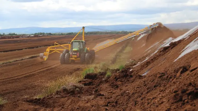 लाओस के देहात में स्थित कैशेल दलदल