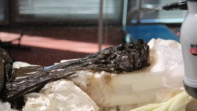 कैशेल मैन की बांह, बीबीसी