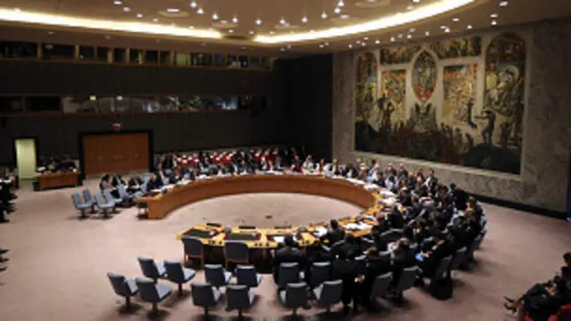  سلامتی کونسل 