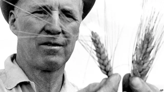 नार्मन बॉरलॉग को भारत में काम करने के लिए बी. शिवरामन ने निमंत्रित किया था.