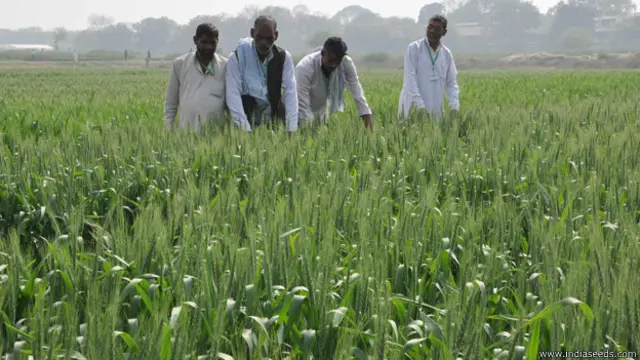 बी. शिवरामन की गिनती भारत में हरित क्रांति की शुरुआत करने वाले लोगों में शामिल है.