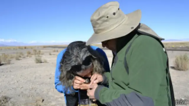 Kate Gold y Marcelo Rosas